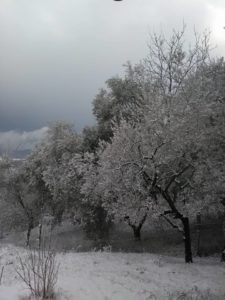 Avigliano stamattina